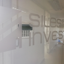 SILESIA INVEST