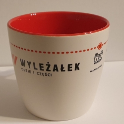 WYLĘŻAŁEK I WYLĘŻAŁEK Sp. J.